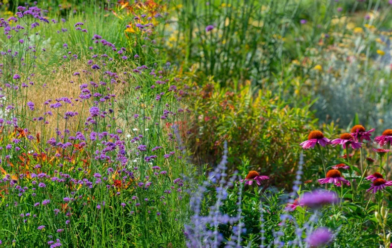 Garden Design